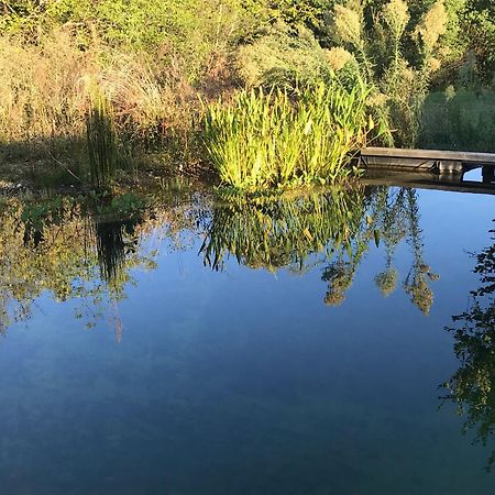Ecolieu Le Chant Du Temps Bed & Breakfast Saint-Usuge Bagian luar foto