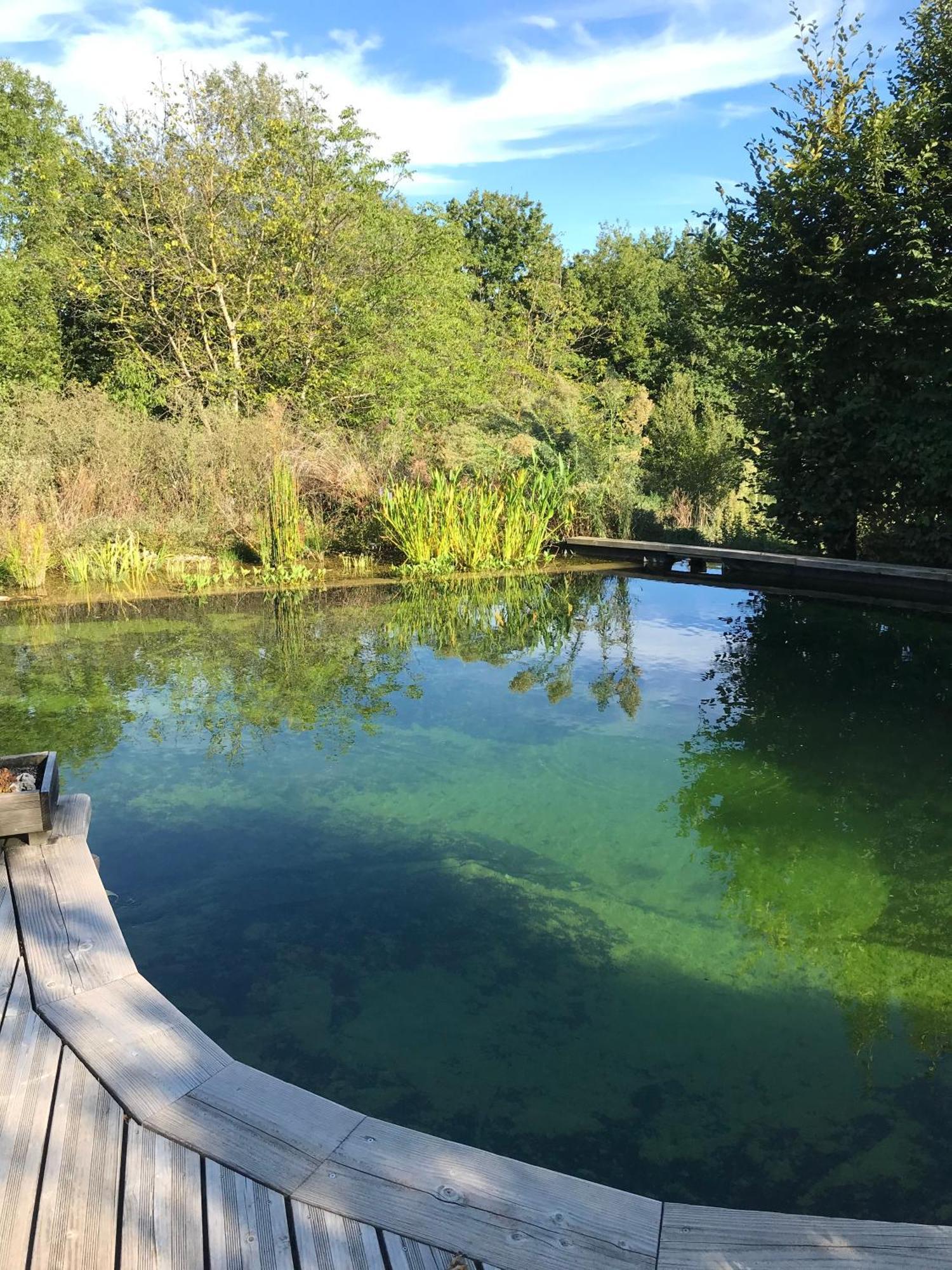 Ecolieu Le Chant Du Temps Bed & Breakfast Saint-Usuge Bagian luar foto