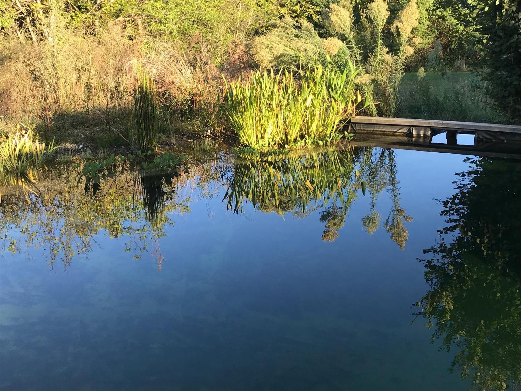 Ecolieu Le Chant Du Temps Bed & Breakfast Saint-Usuge Bagian luar foto